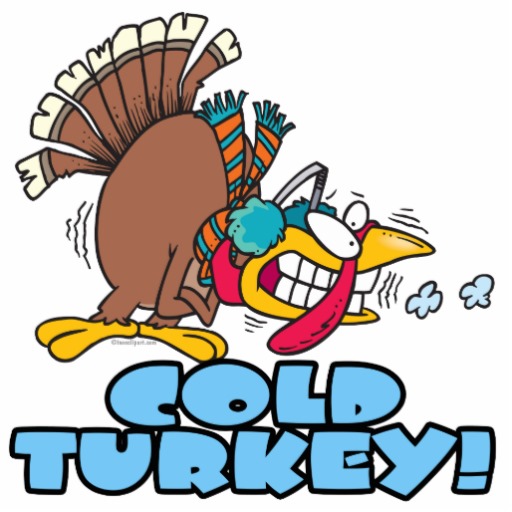 Cold Turkey Dinner
